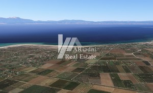 Οικόπεδο 22.400τ.μ. για πώληση-Καλλικράτεια » Νέα καλλικράτεια