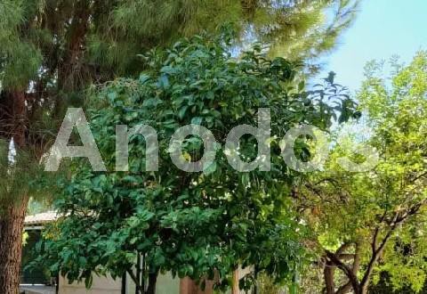 Οικόπεδο 400τ.μ. για πώληση-Αργυρούπολη » Κέντρο