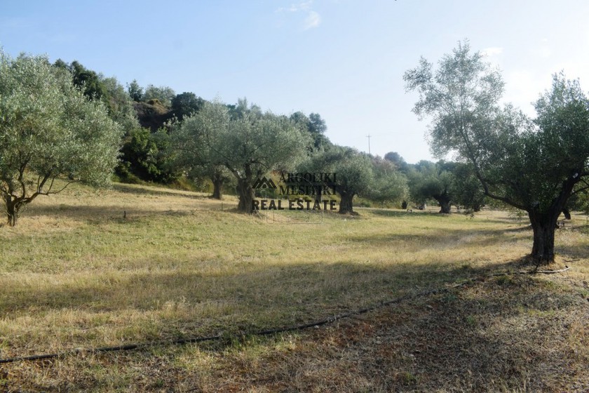 Αγροτεμάχια 7.000τ.μ. για πώληση-Νέα τίρυνθα » Νέο ροεινό