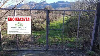 Αγροτεμάχια 6.000 τ.μ. για ενοικίαση, Ν. Καρδίτσας, Μουζάκι-thumb-3