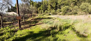 Οικόπεδο 800τ.μ. για πώληση-Αγρίνιο » Κέντρο