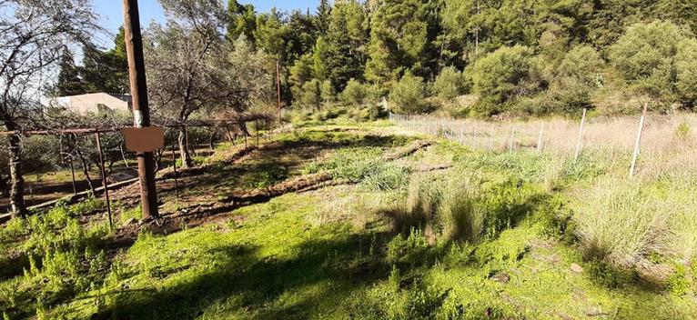 Οικόπεδο 800 τ.μ. για πώληση, Αιτωλοακαρνανία, Αγρίνιο