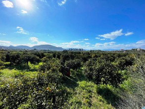 Parcel 5.620sqm for sale-Nea Tirintha » Agios Adrianos