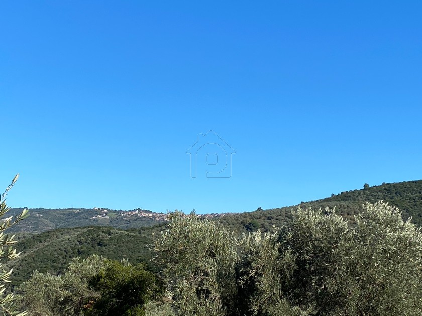 Αγροτεμάχια 8.000 τ.μ. για πώληση