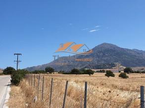 Αγροτεμάχια 6.200 τ.μ. για πώληση, Εβρος, Σαμοθράκη-thumb-3