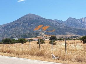 Αγροτεμάχια 6.200 τ.μ. για πώληση, Εβρος, Σαμοθράκη-thumb-4