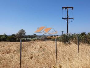 Αγροτεμάχια 6.200 τ.μ. για πώληση, Εβρος, Σαμοθράκη-thumb-5