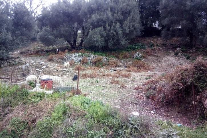 Οικόπεδο 2.054 τ.μ. προς πώληση, Κέντρο Ασή Γωνιάς
