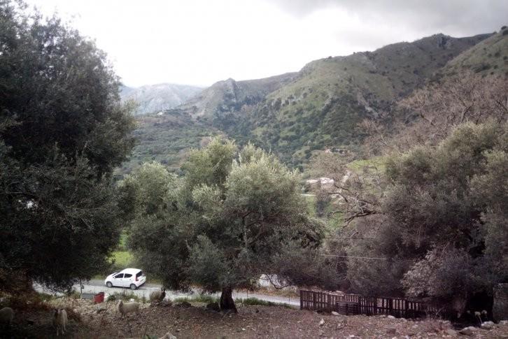 Οικόπεδο 2.054 τ.μ. προς πώληση, Κέντρο Ασή Γωνιάς