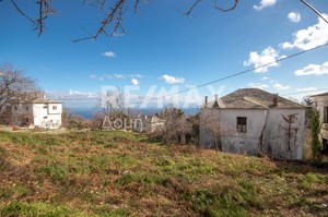 Land plot 728sqm for sale-Mouresi » Tsagkarada