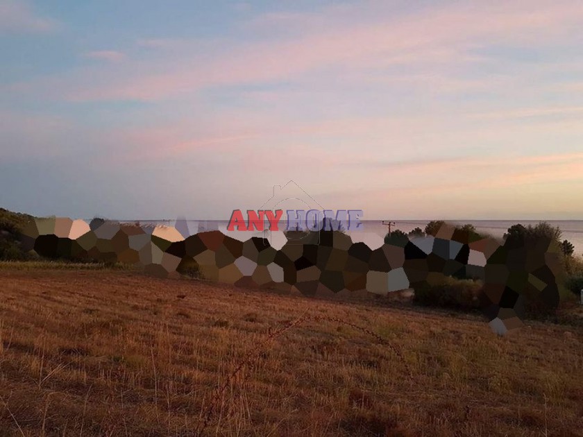 Αγροτεμάχια 13.250 τ.μ. για πώληση