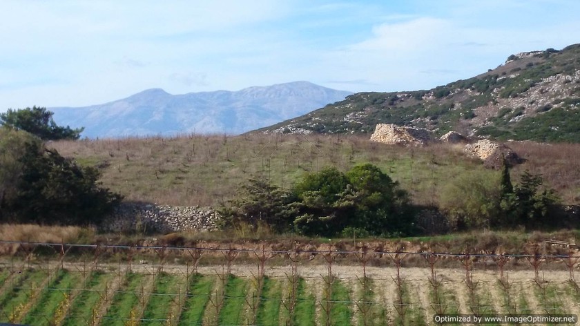 Οικόπεδο 15.300 τ.μ. για πώληση, Ν. Ηρακλείου, Αρχάνες