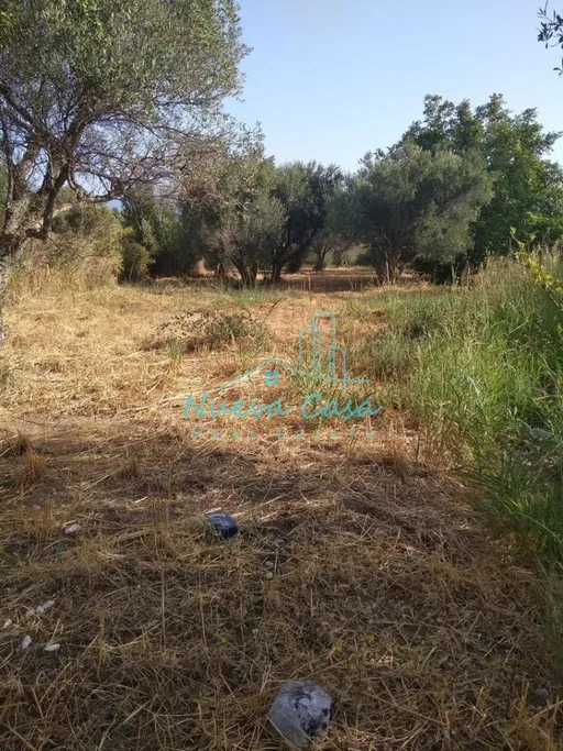 Land plot 900 sqm for sale, Achaia, Rio