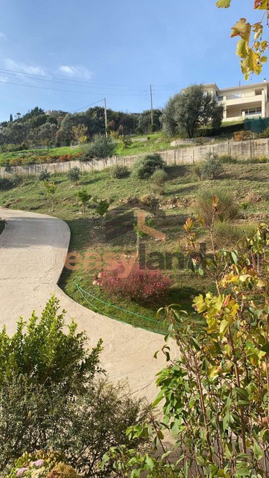 Μονοκατοικία 345 τ.μ. για πώληση