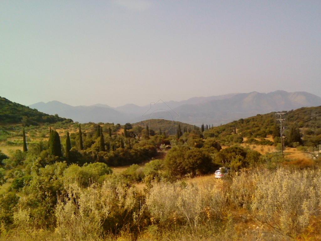 Αγροτεμάχια 12.000 τ.μ. πρός πώληση, Μεσσηνία, Κυπαρισσία