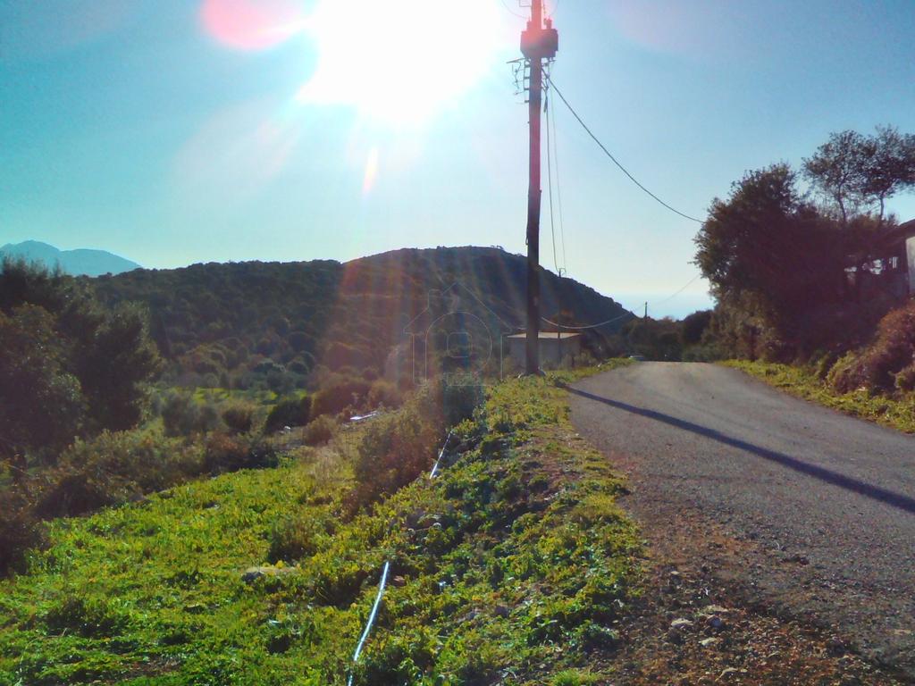 Αγροτεμάχια 12.000 τ.μ. πρός πώληση, Μεσσηνία, Κυπαρισσία