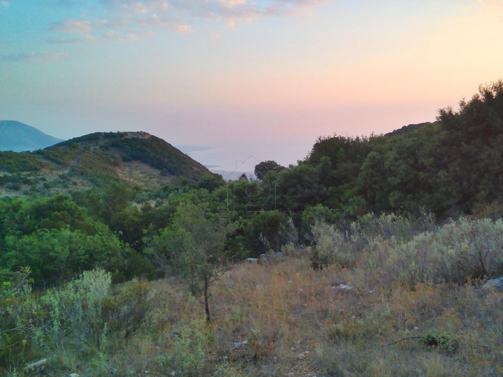 Αγροτεμάχια 12.000 τ.μ. πρός πώληση, Μεσσηνία, Κυπαρισσία