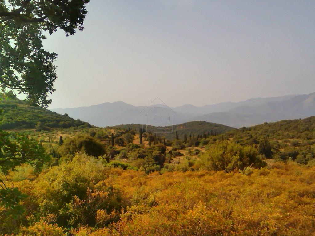 Αγροτεμάχια 12.000 τ.μ. πρός πώληση, Μεσσηνία, Κυπαρισσία