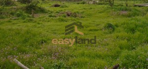 Land plot 5.700sqm for sale-Messatida » Mavromandila