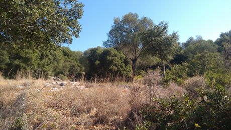Parcel 5.302sqm for sale-Kefalonia » Leivatho