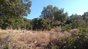 Parcel 5.302sqm for sale-Kefalonia » Leivatho