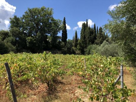 Parcel 13.720sqm for sale-Kefalonia » Leivatho