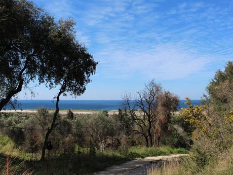 Parcel 15.400sqm for sale-Kefalonia » Leivatho