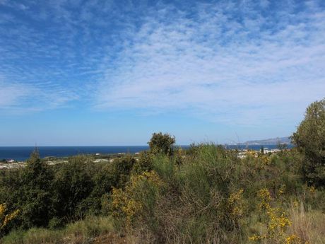 Parcel 5.830sqm for sale-Kefalonia » Leivatho
