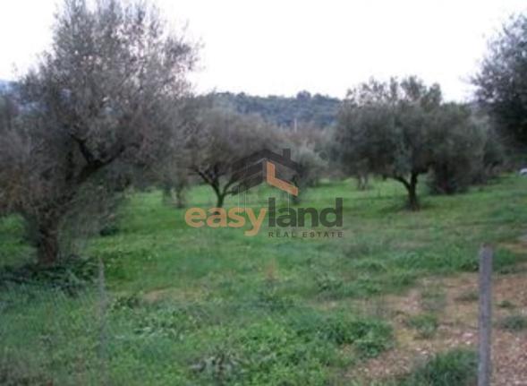 Land plot 1.415 sqm for sale, Achaia, Paralia