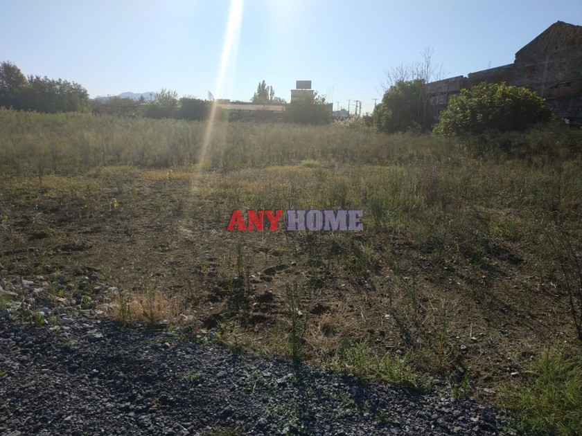 Αγροτεμάχια 10.904 τ.μ. για πώληση