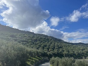 Οικόπεδο 5.616τ.μ. για πώληση-Γάζι » Αγία πελαγία