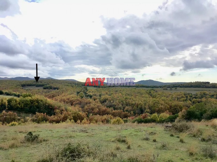 Αγροτεμάχια 11.000 τ.μ. για πώληση, Χαλκιδική, Πολύγυρος