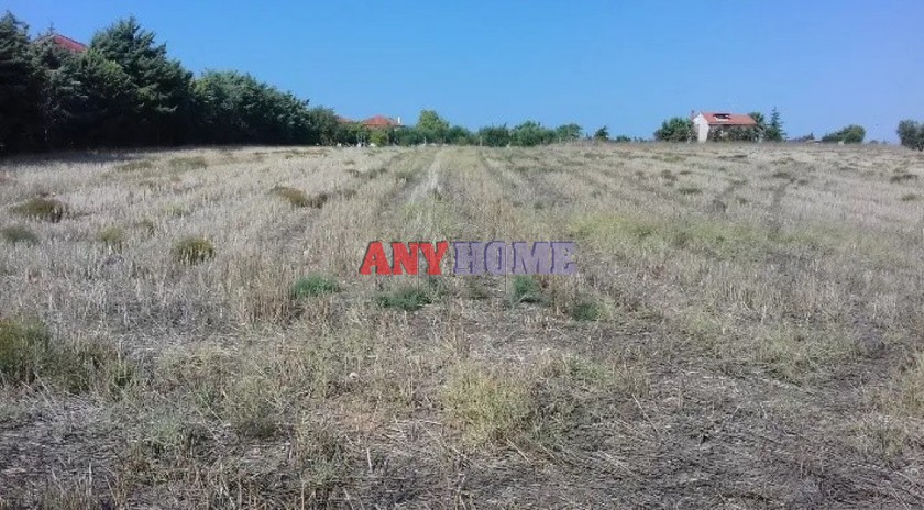 Οικόπεδο 4.262 τ.μ. για πώληση