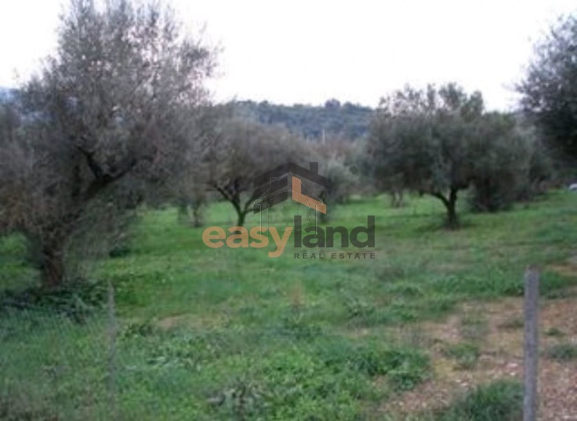 Land plot 1.415 sqm for rent