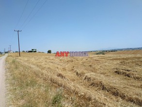 Αγροτεμάχια 3.000τ.μ. για πώληση-Θέρμη » Τρίλοφο