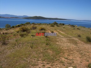 Αγροτεμάχια 7.750τ.μ. για πώληση-Σταγείρων - ακάνθου » Τρυπητή