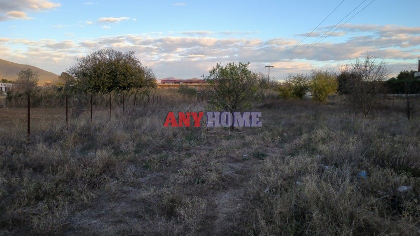 Other 2.400 sqm for rent