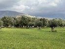 Parcel 5.611sqm for sale-Kefalonia » Leivatho