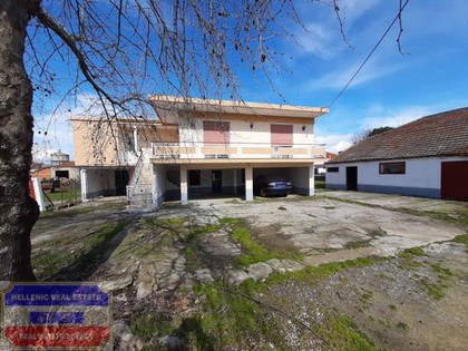 Detached home 160sqm for sale-Chrisoupoli » Erateino