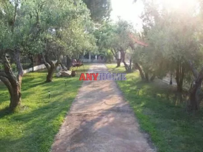 Μονοκατοικία 85 τ.μ. για ενοικίαση