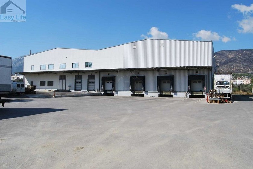 Warehouse 11.776 sqm for sale, Athens - East, Pallini