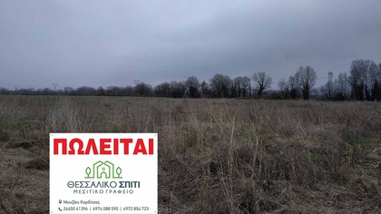 Parcel 14.000sqm for sale-Gomfoi » Mouria