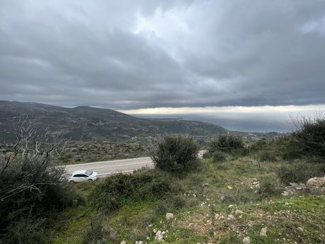 Parcel 6.468sqm for sale-Kefalonia » Eleioi-Pronoi