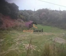 Land plot 4.000sqm for sale-Messatida » Kallitheokampos