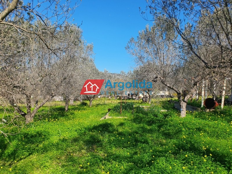 Αγροτεμάχια 8.000τ.μ. για πώληση-Κρανίδι » Κοιλάδα