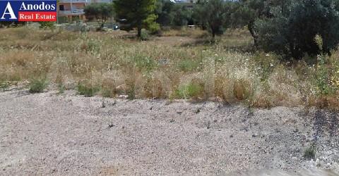 Land plot 631 sqm for sale, Athens - East, Glika Nera