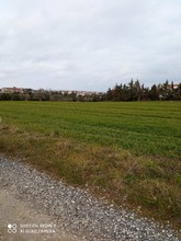 Αγροτεμάχια 4.200τ.μ. για πώληση-Κασσάνδρα » Άφυτος