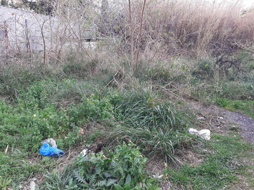 Land plot 200 sqm for sale