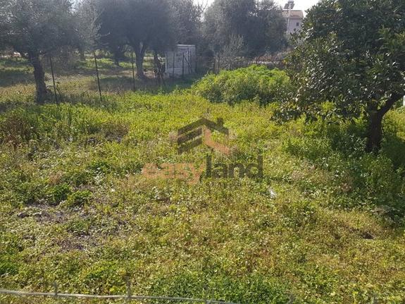 Land plot 404 sqm for sale, Achaia, Messatida