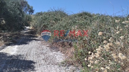 Land plot 4.000sqm for sale-Nea Kidonia » Agia Marina
